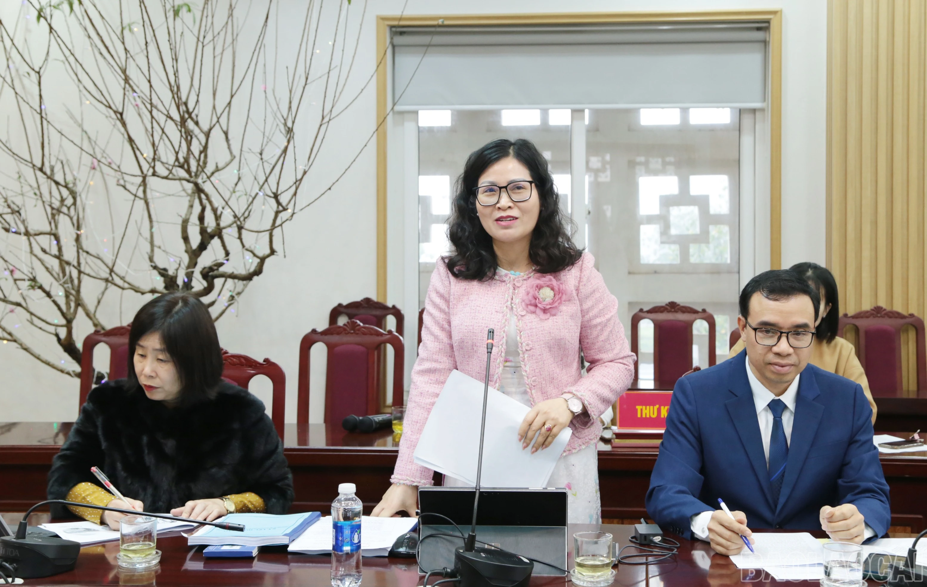 baolaocai-br_img-6690.jpg