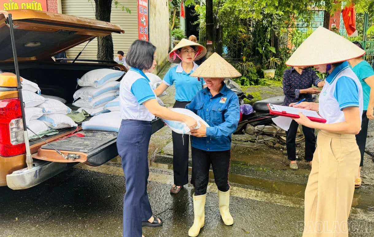 baolaocai-br_3016032379888377686.jpg