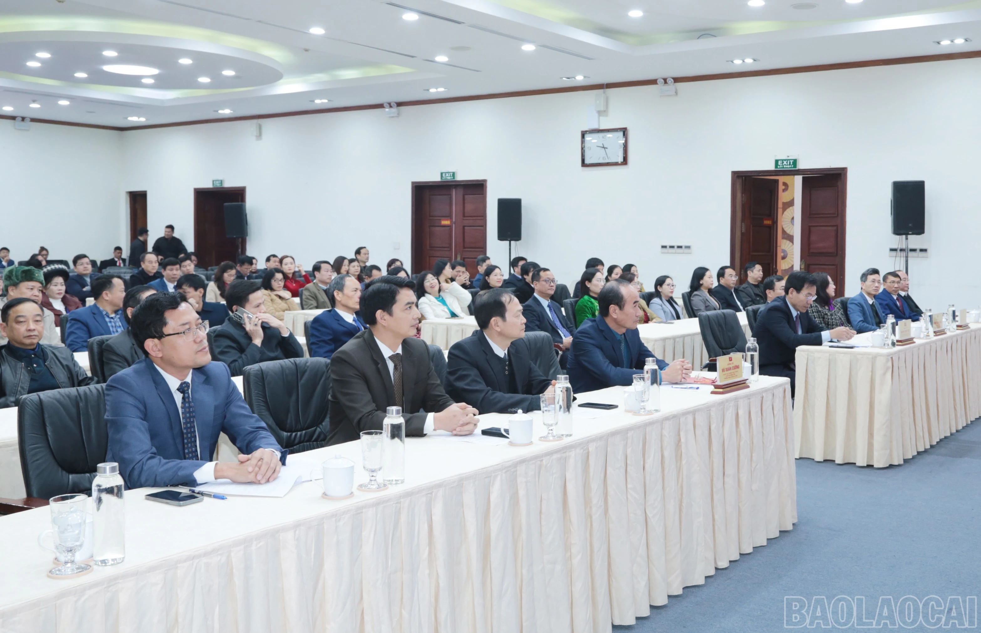 baolaocai-br_img-6411.jpg