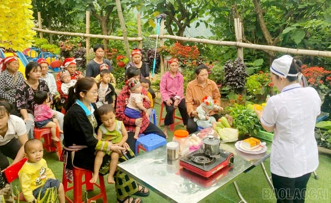 baolaocai-br_2.jpg