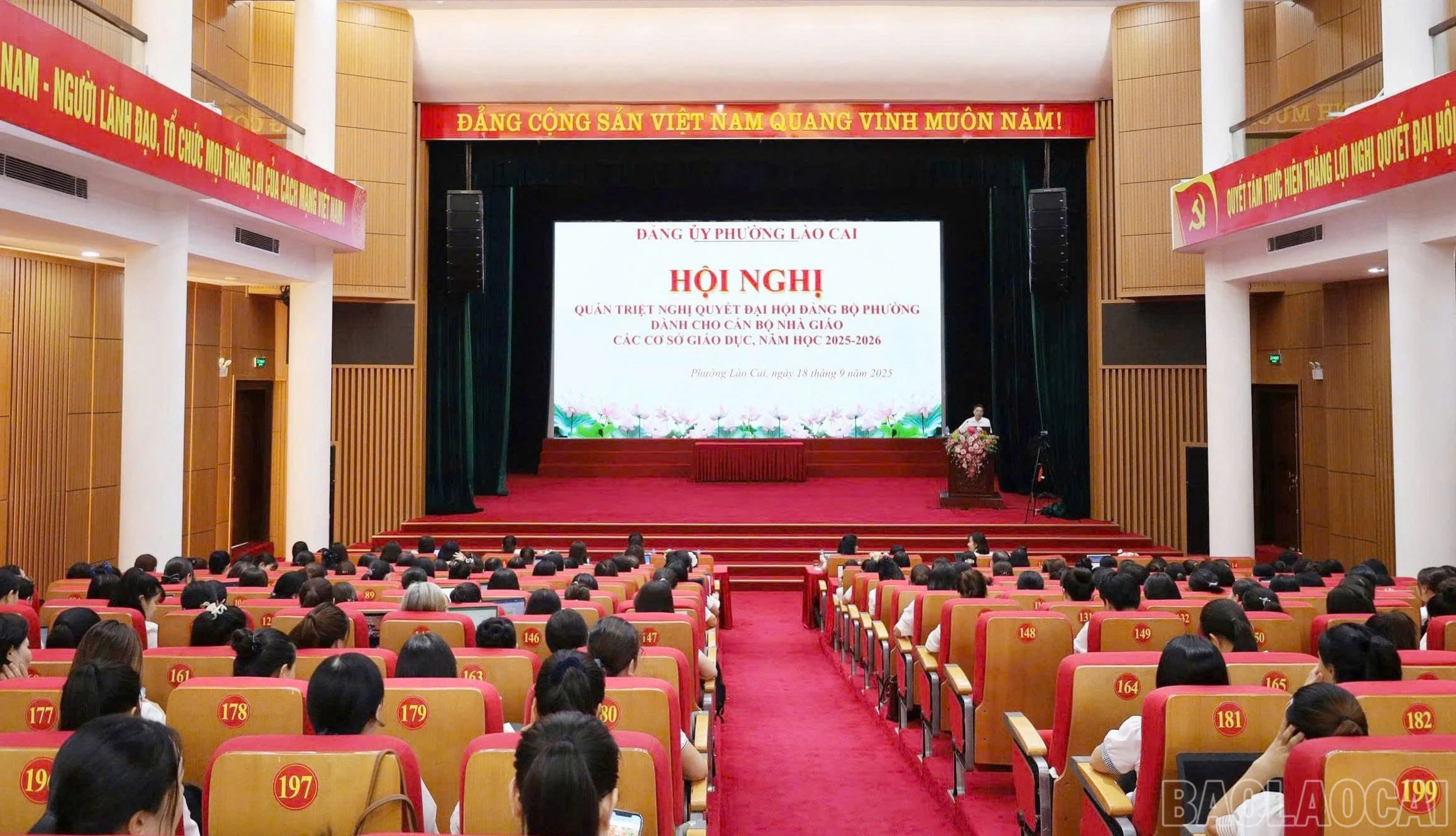 baolaocai-br_a08a2588e2826ddc3493.jpg