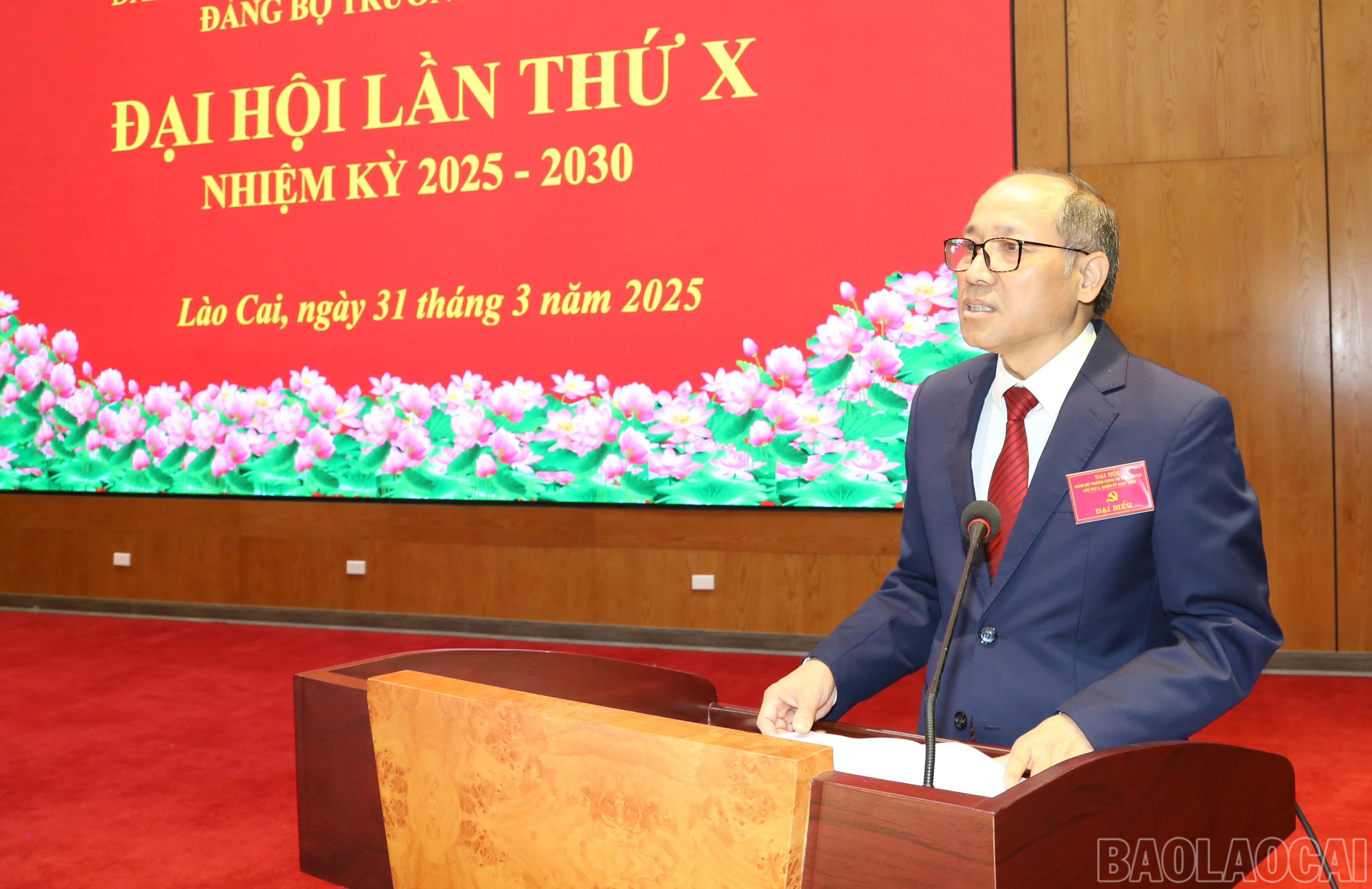 baolaocai-br_img-0403.jpg