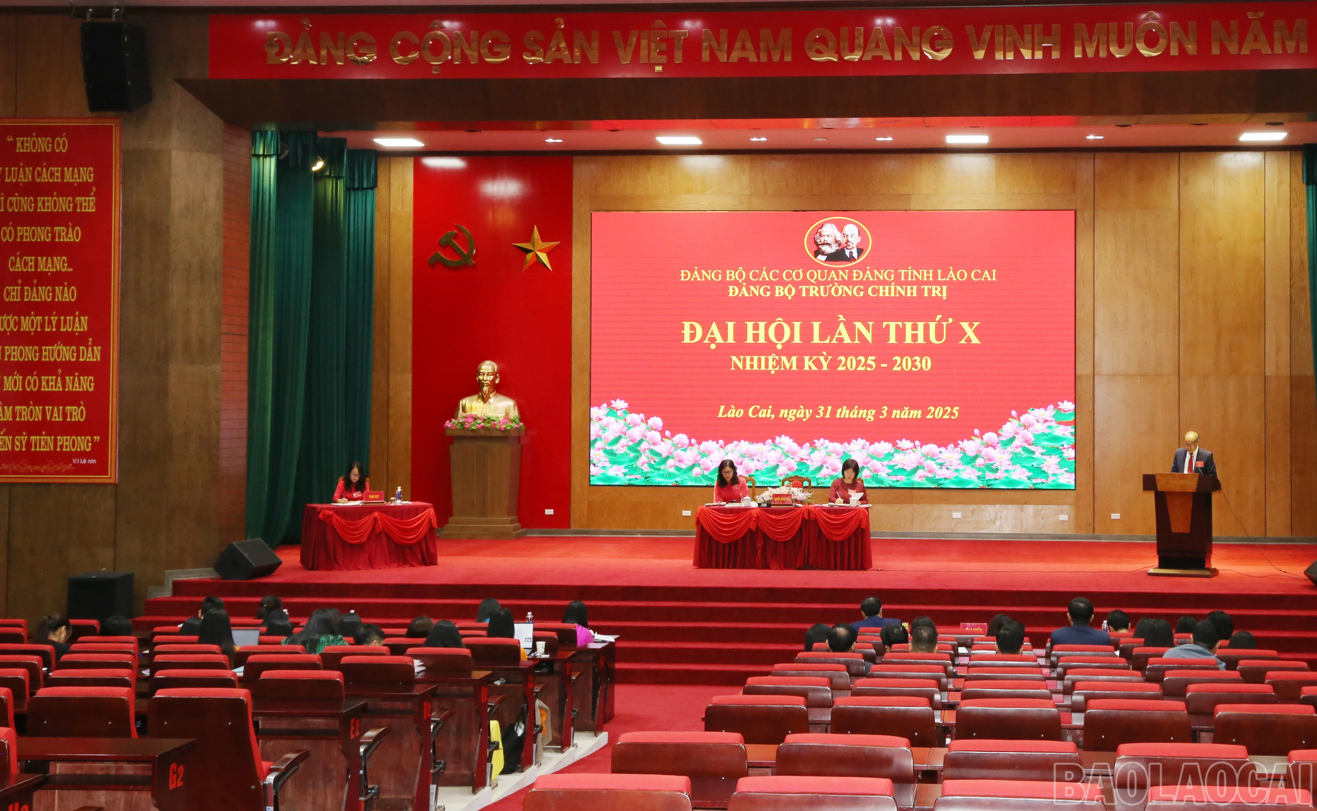 baolaocai-br_img-0326.jpg