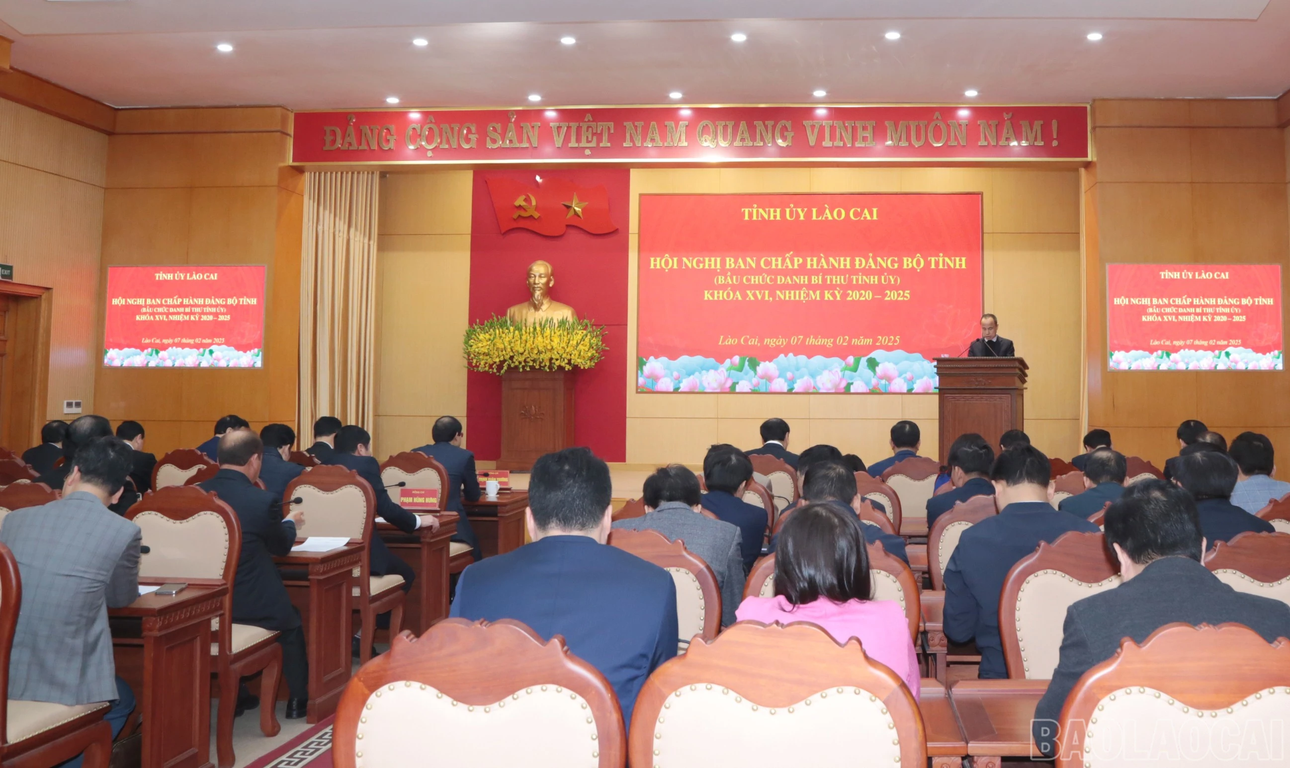 baolaocai-br_img-7568.jpg