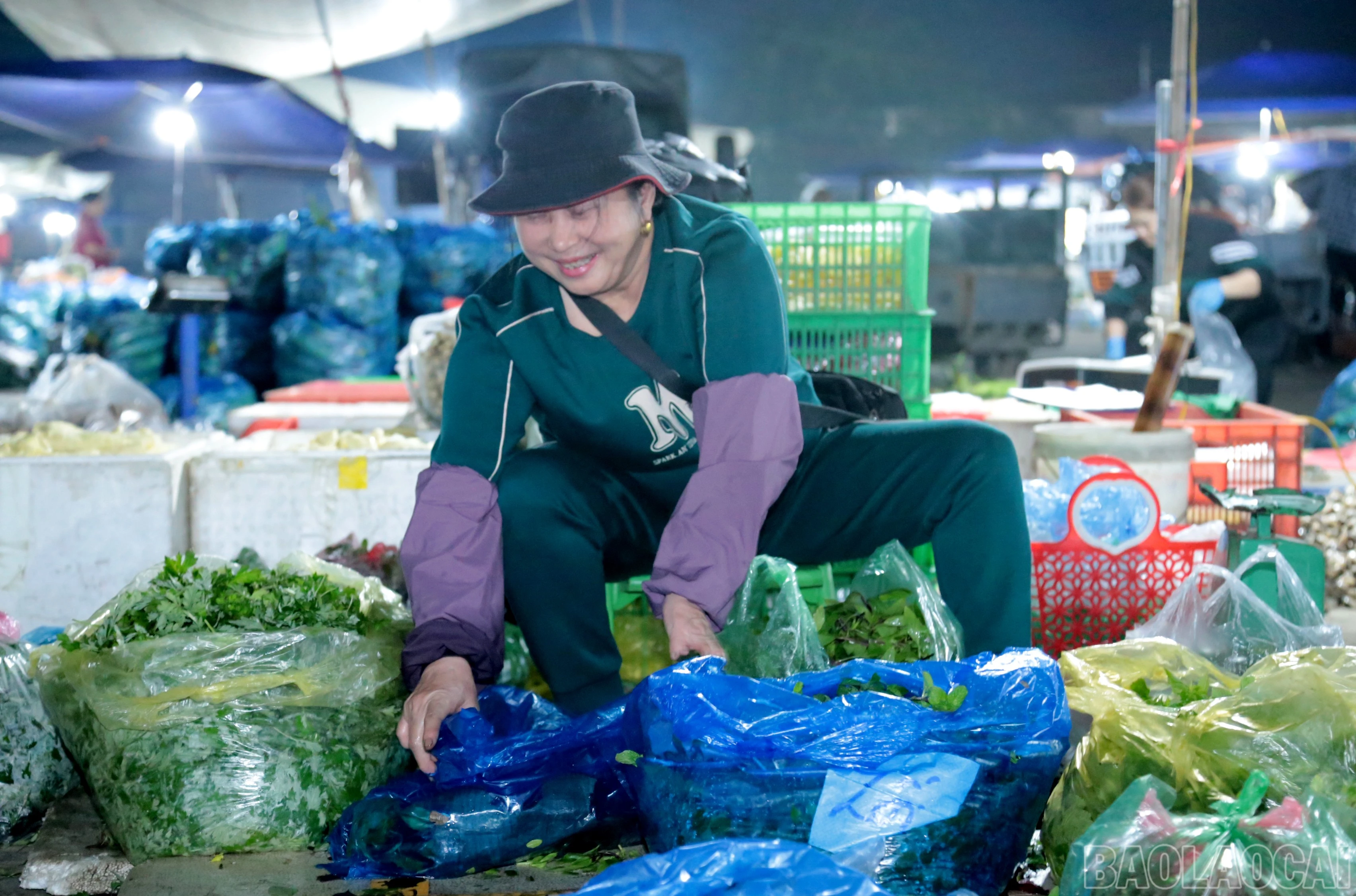 baolaocai-br_a6.jpg