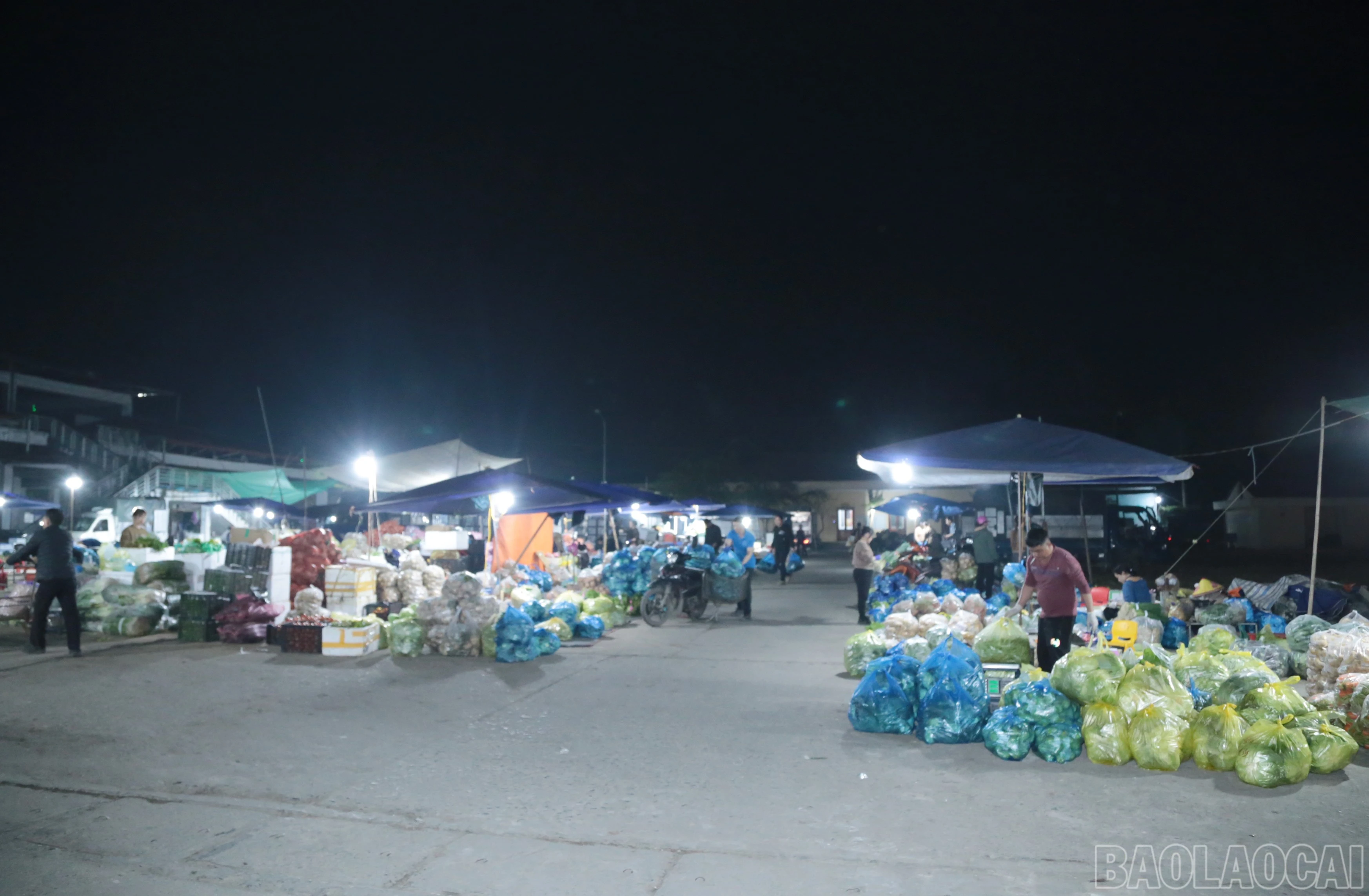 baolaocai-br_a5.jpg