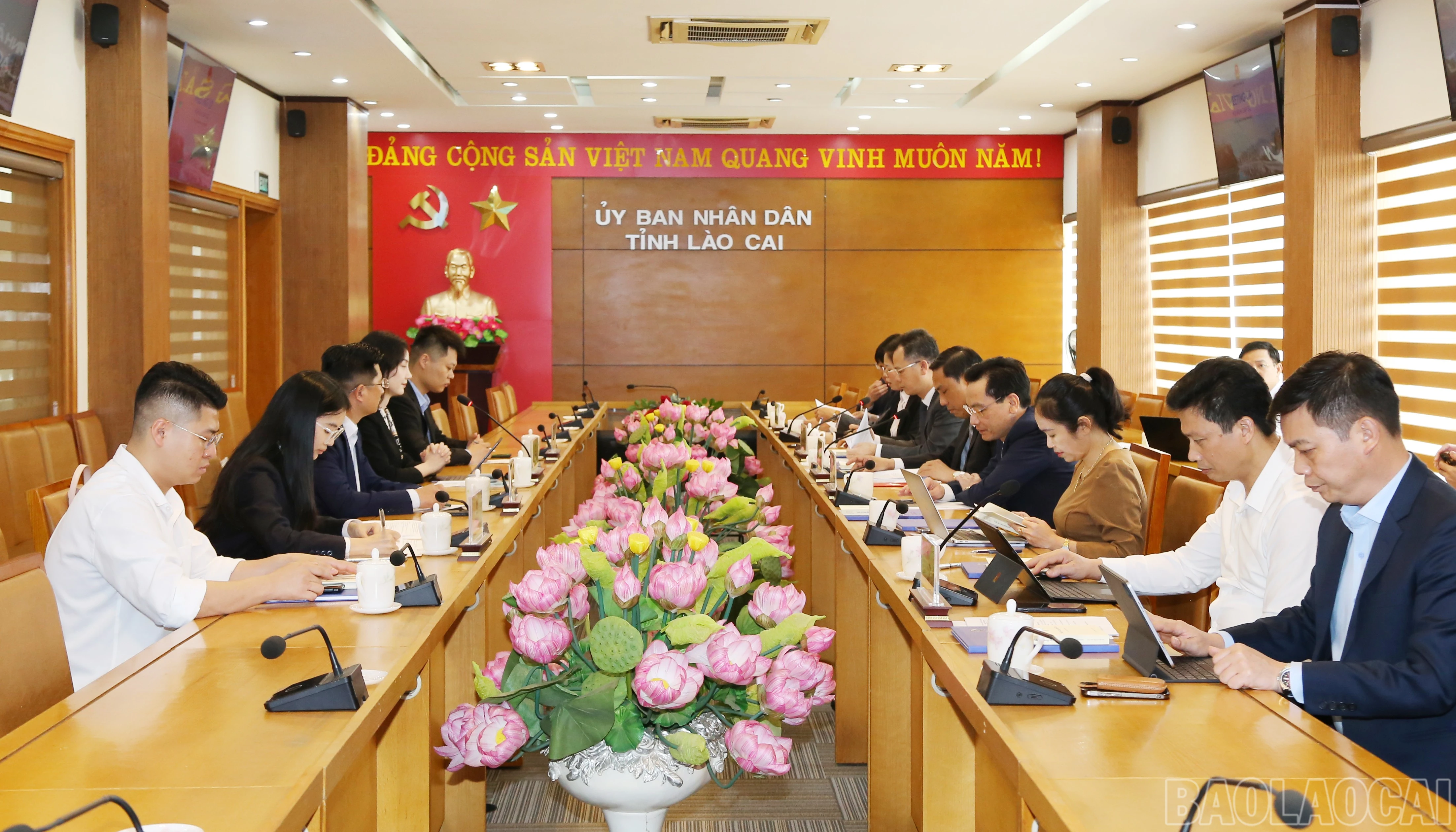 baolaocai-br_img-9635.jpg