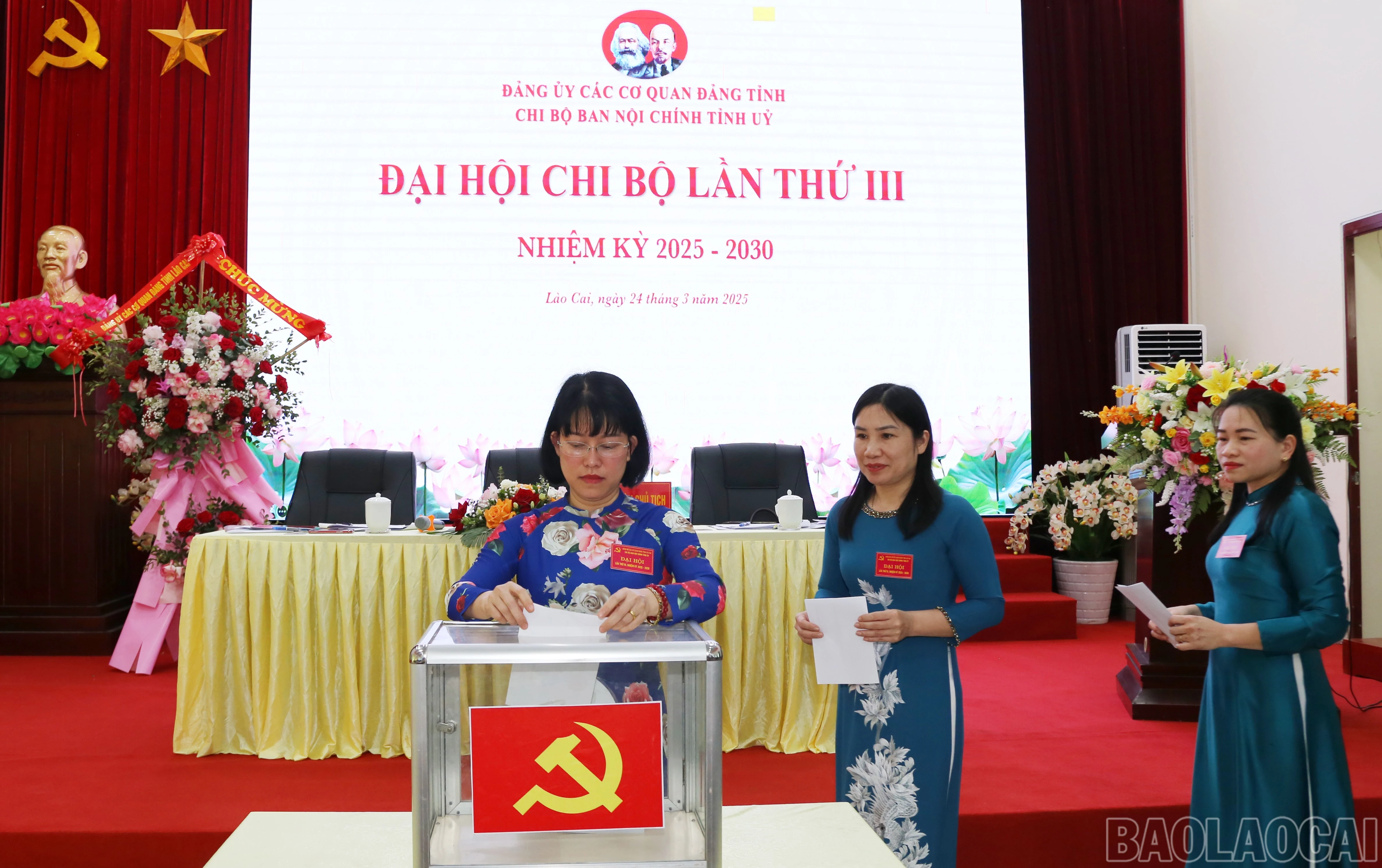 baolaocai-br_img-9760.jpg