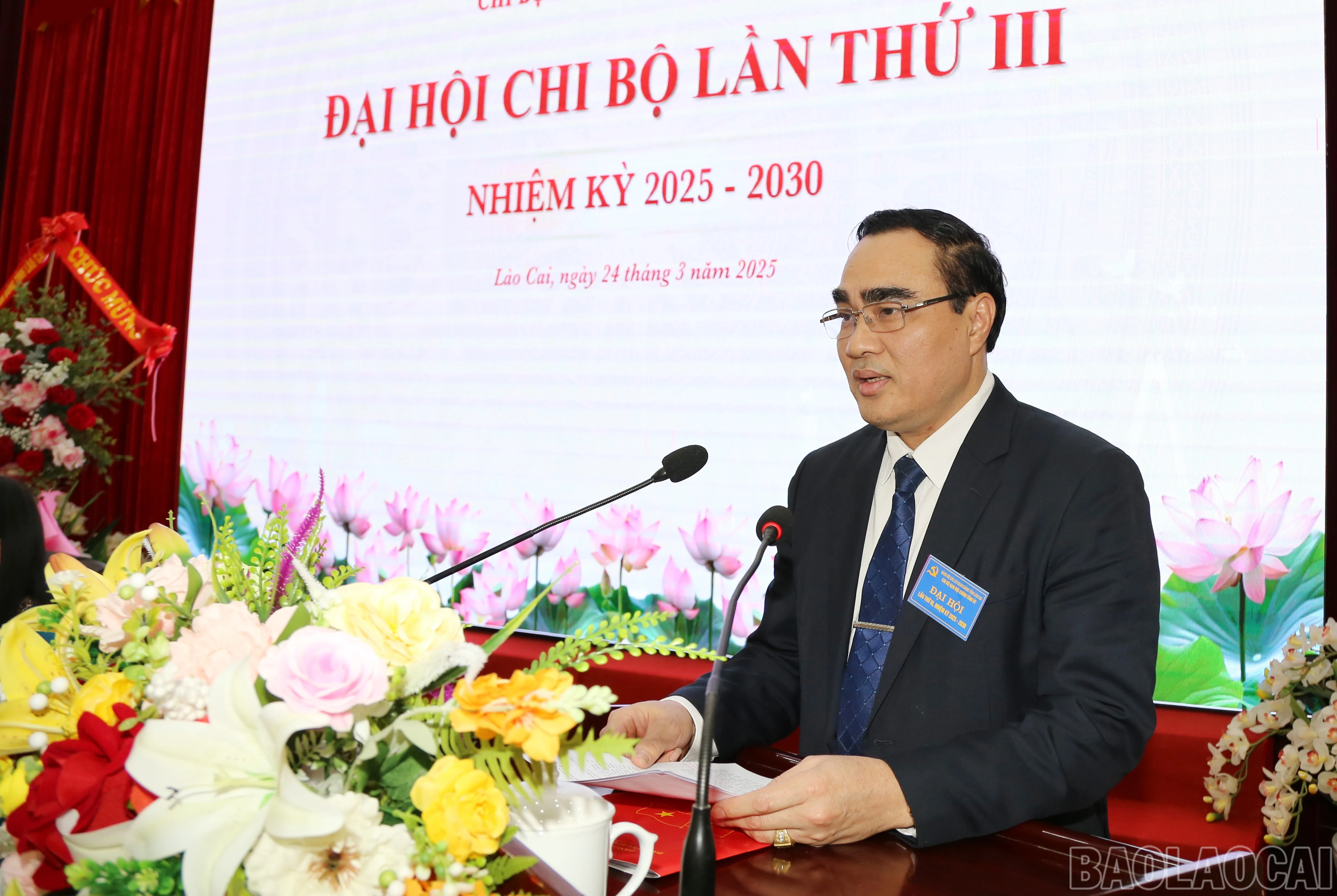 baolaocai-br_img-9746.jpg