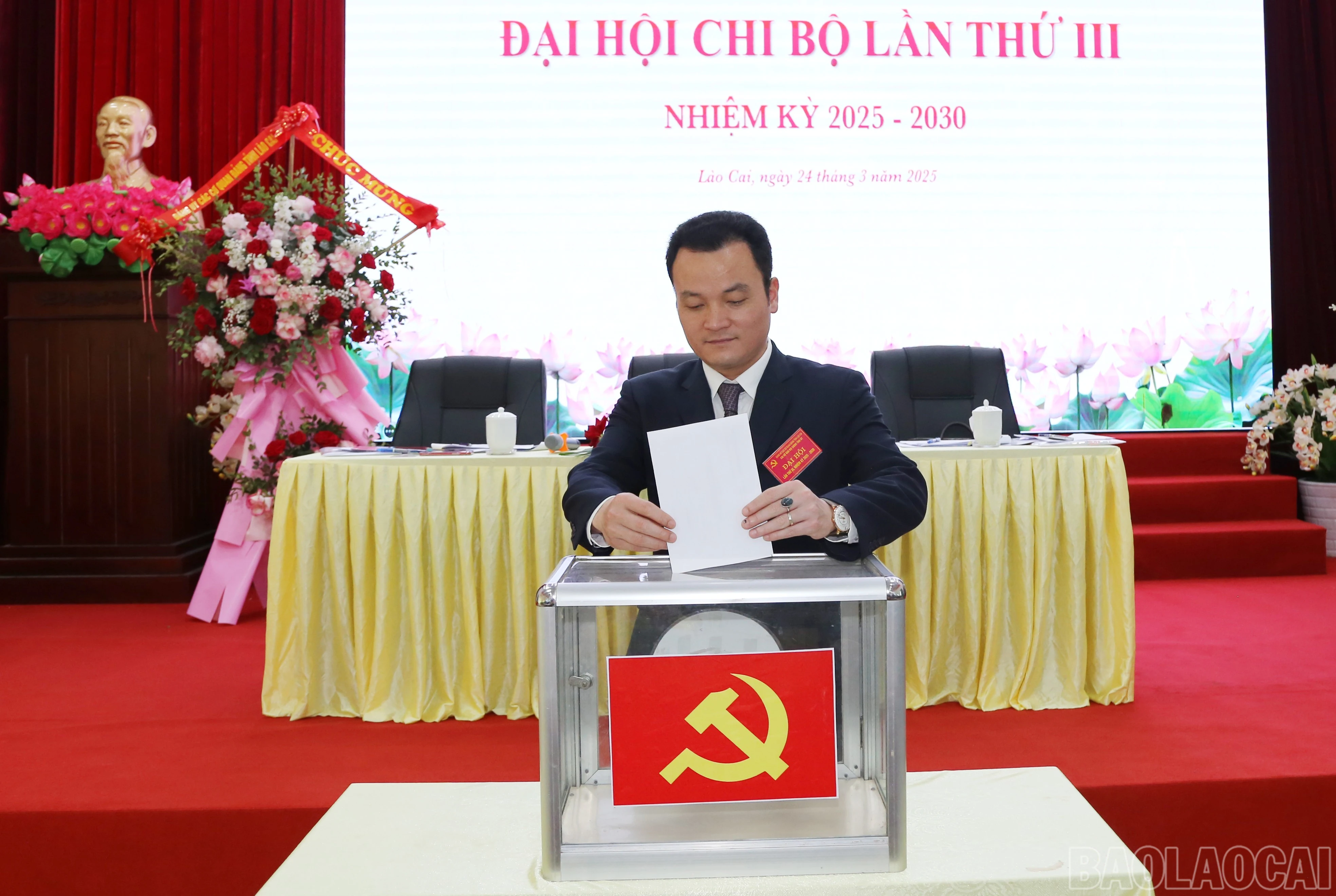 baolaocai-br_img-9756.jpg