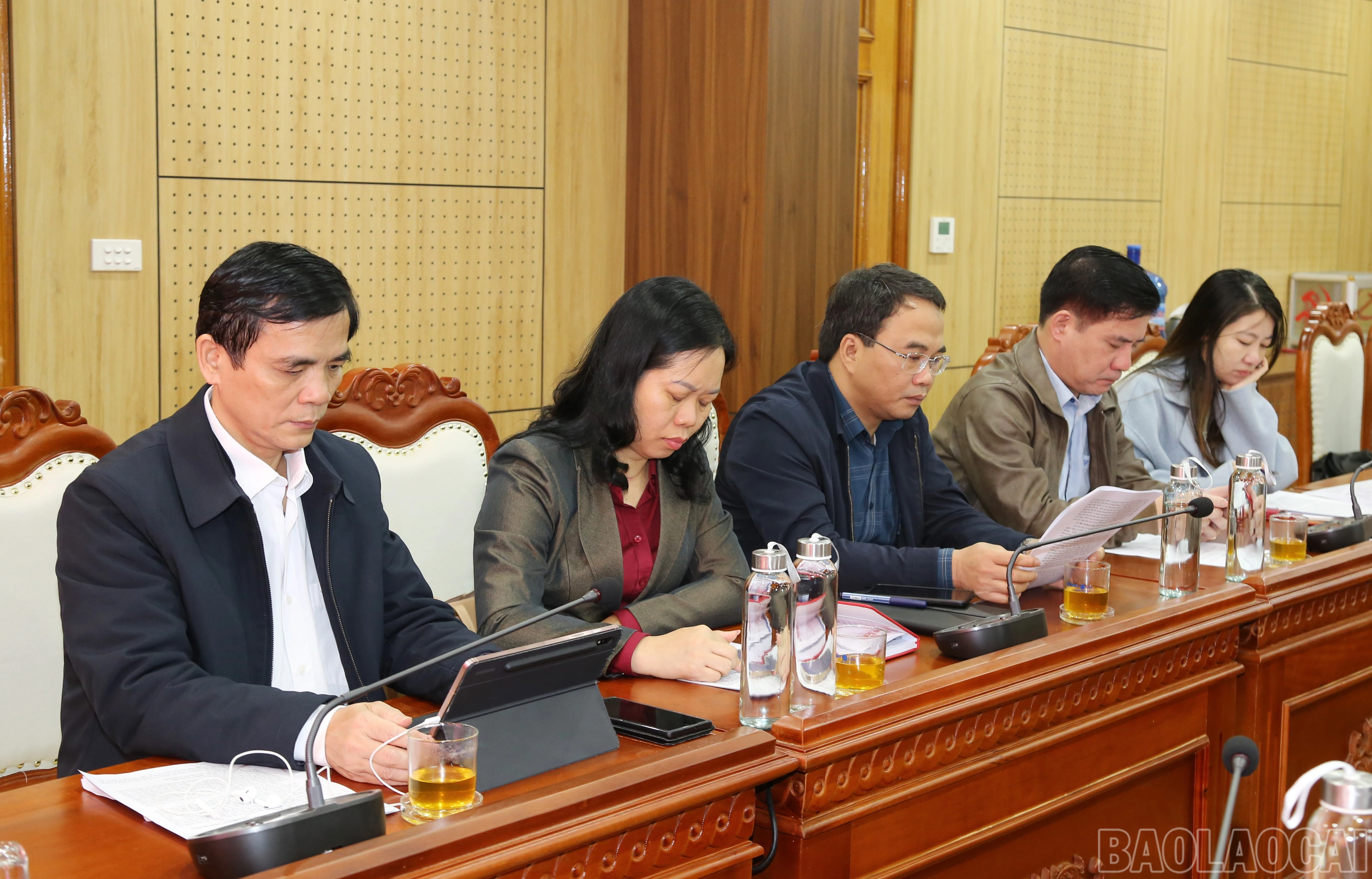 baolaocai-br_img-9432.jpg