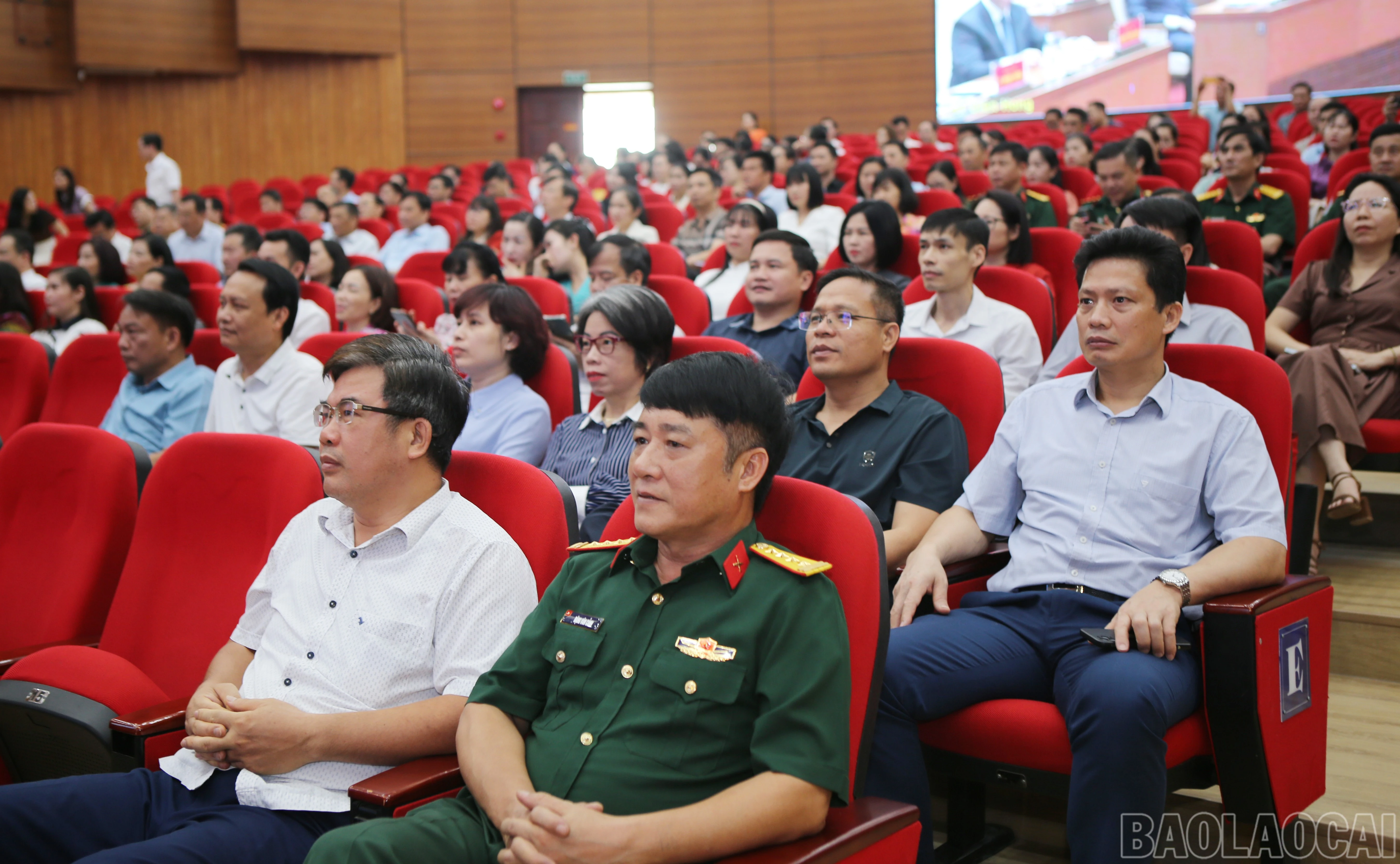 baolaocai-br_6-1.jpg