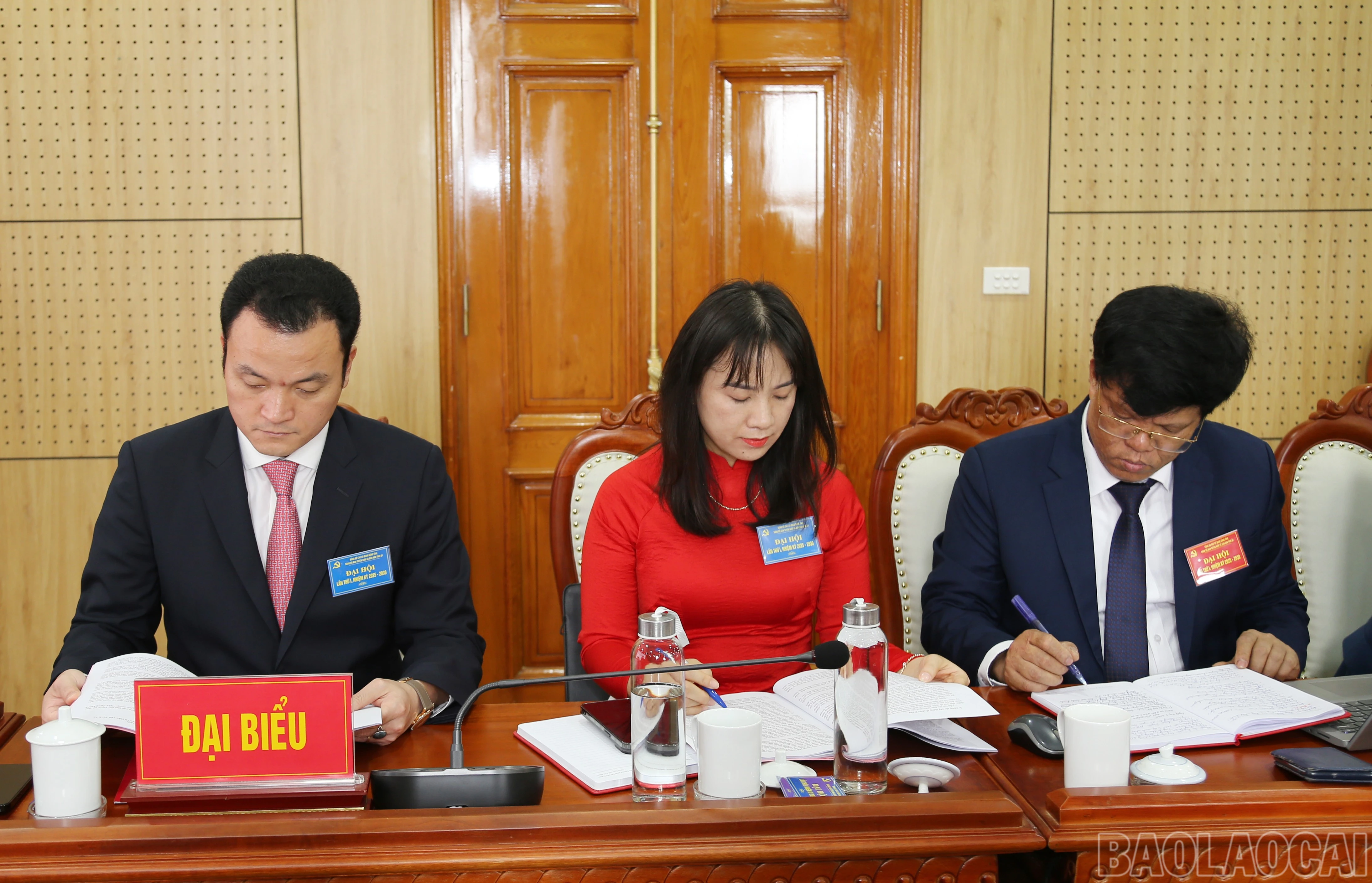 baolaocai-br_img-0162.jpg