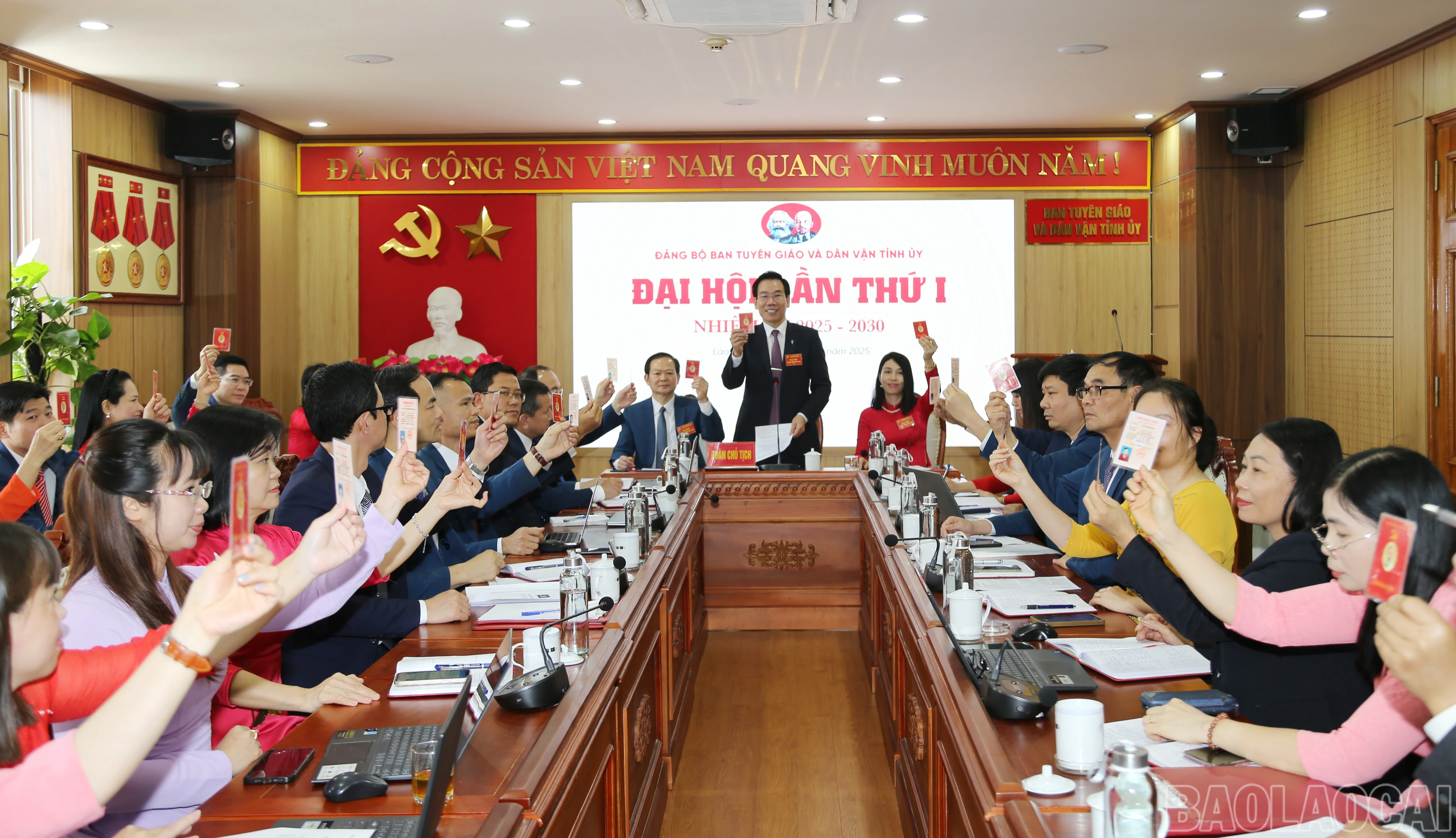 baolaocai-br_img-0185.jpg