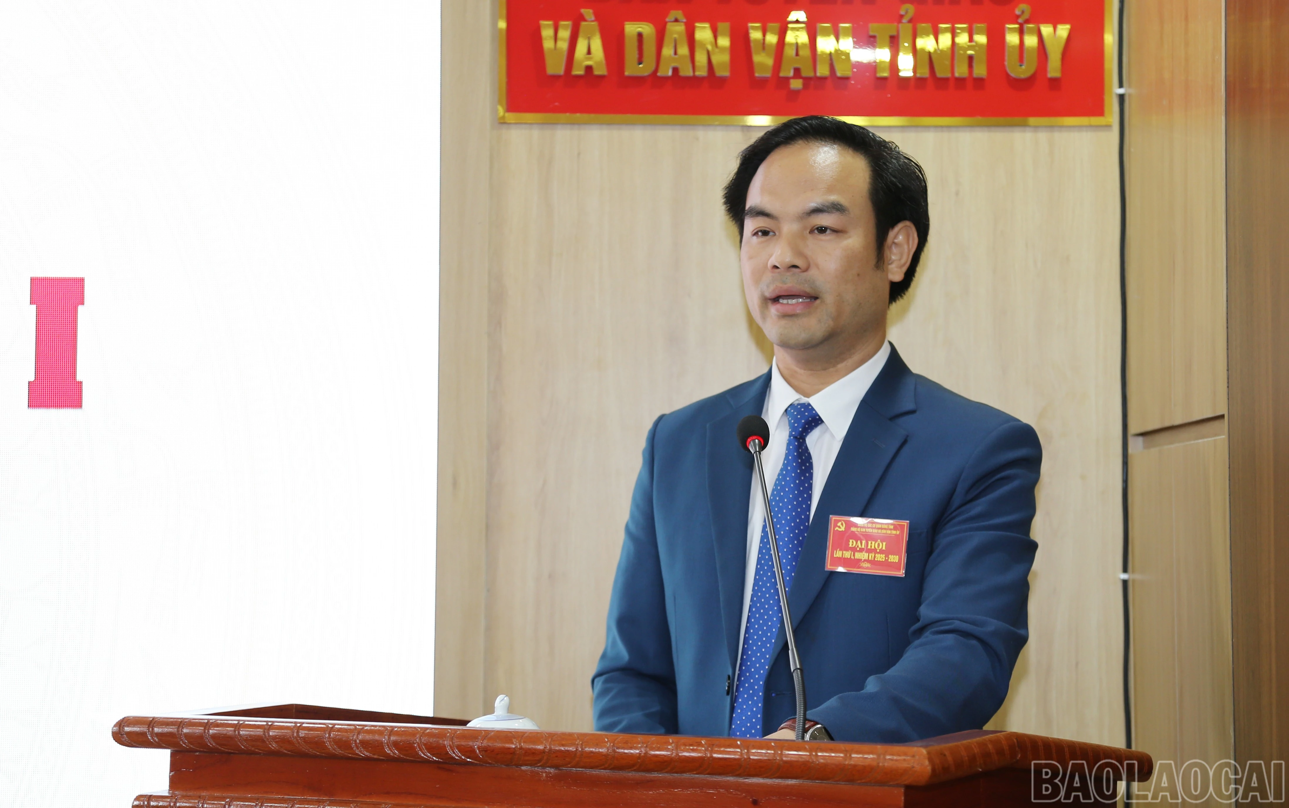 baolaocai-br_img-0179.jpg
