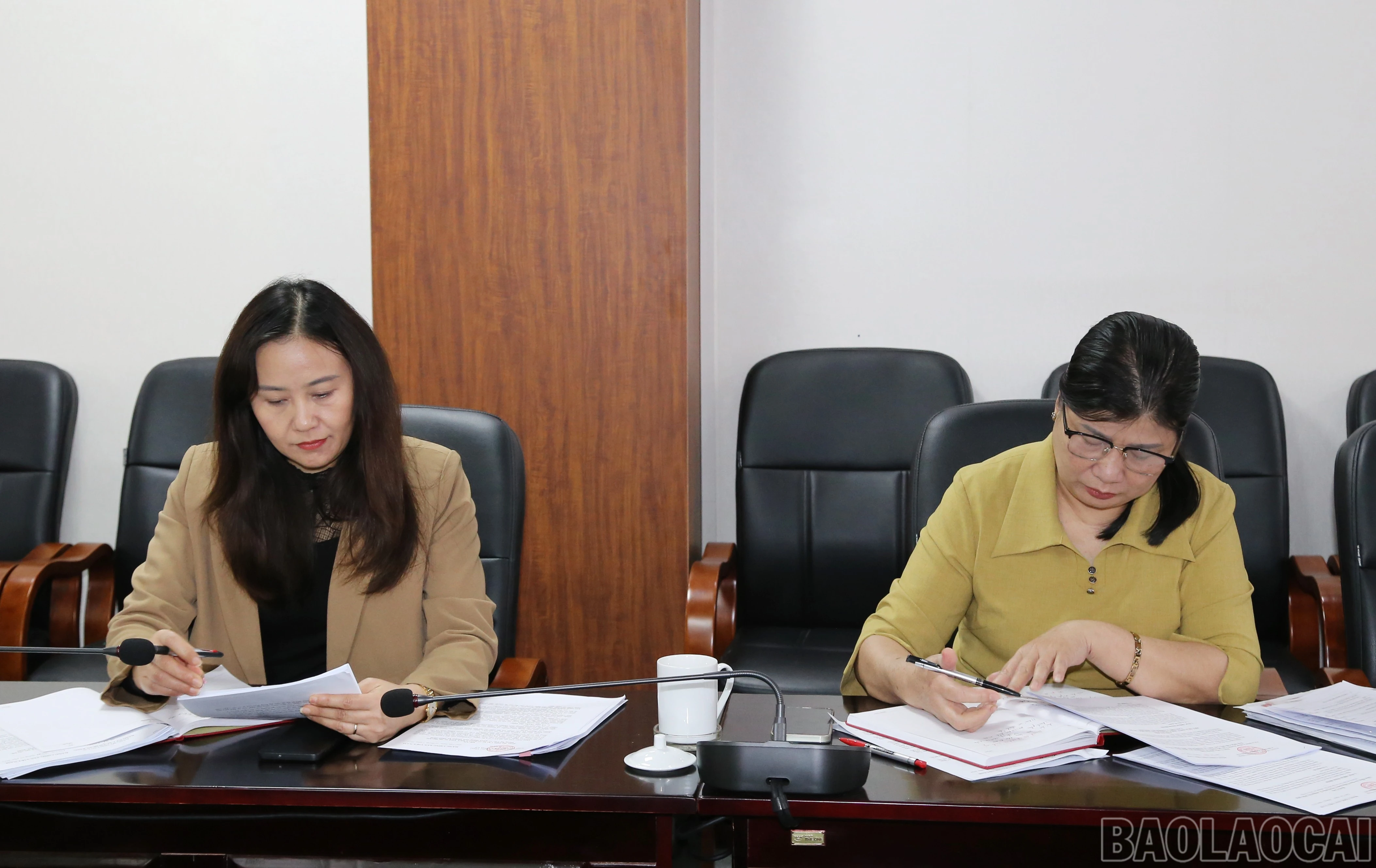 baolaocai-br_img-9697.jpg