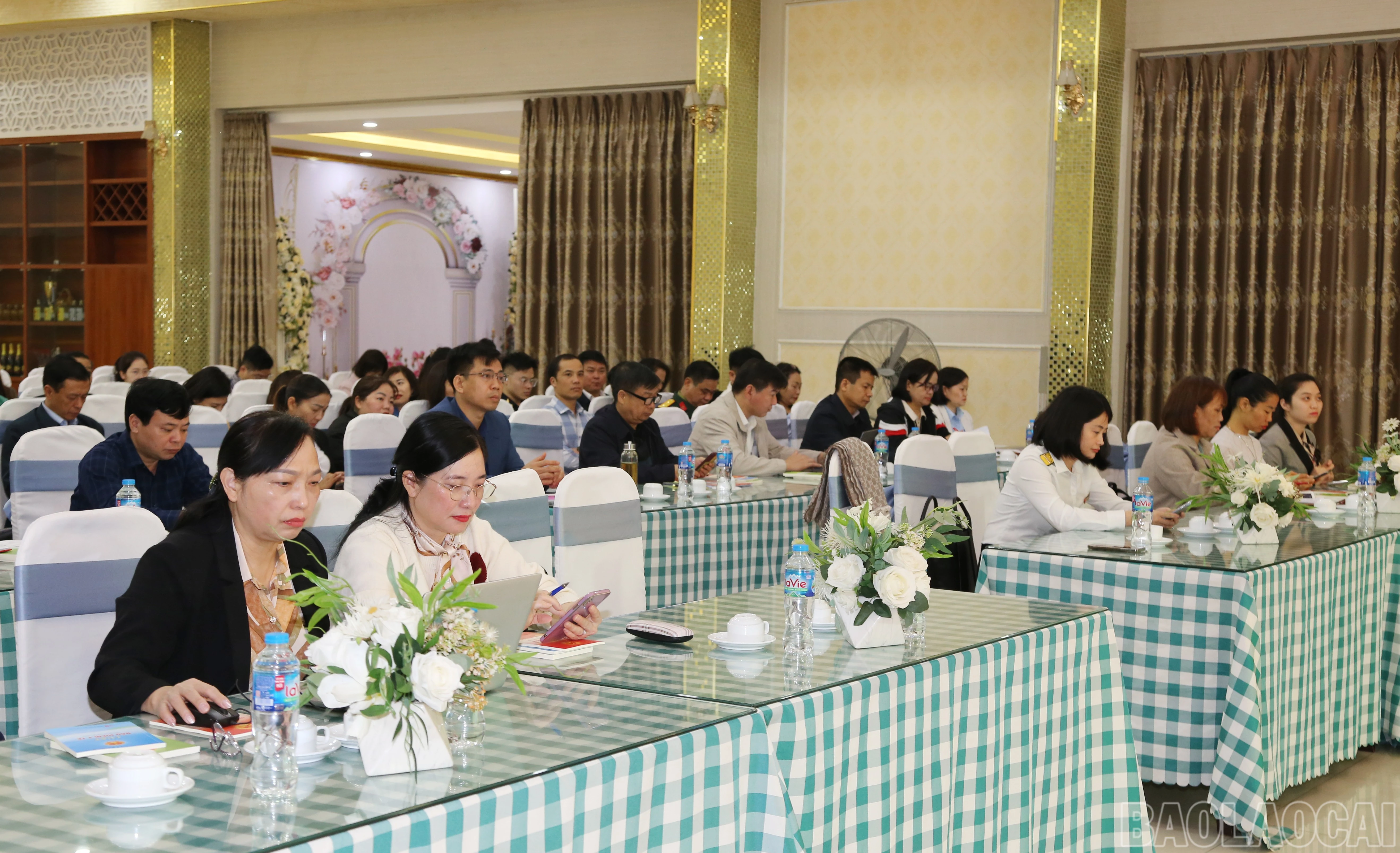 baolaocai-br_img-9476.jpg