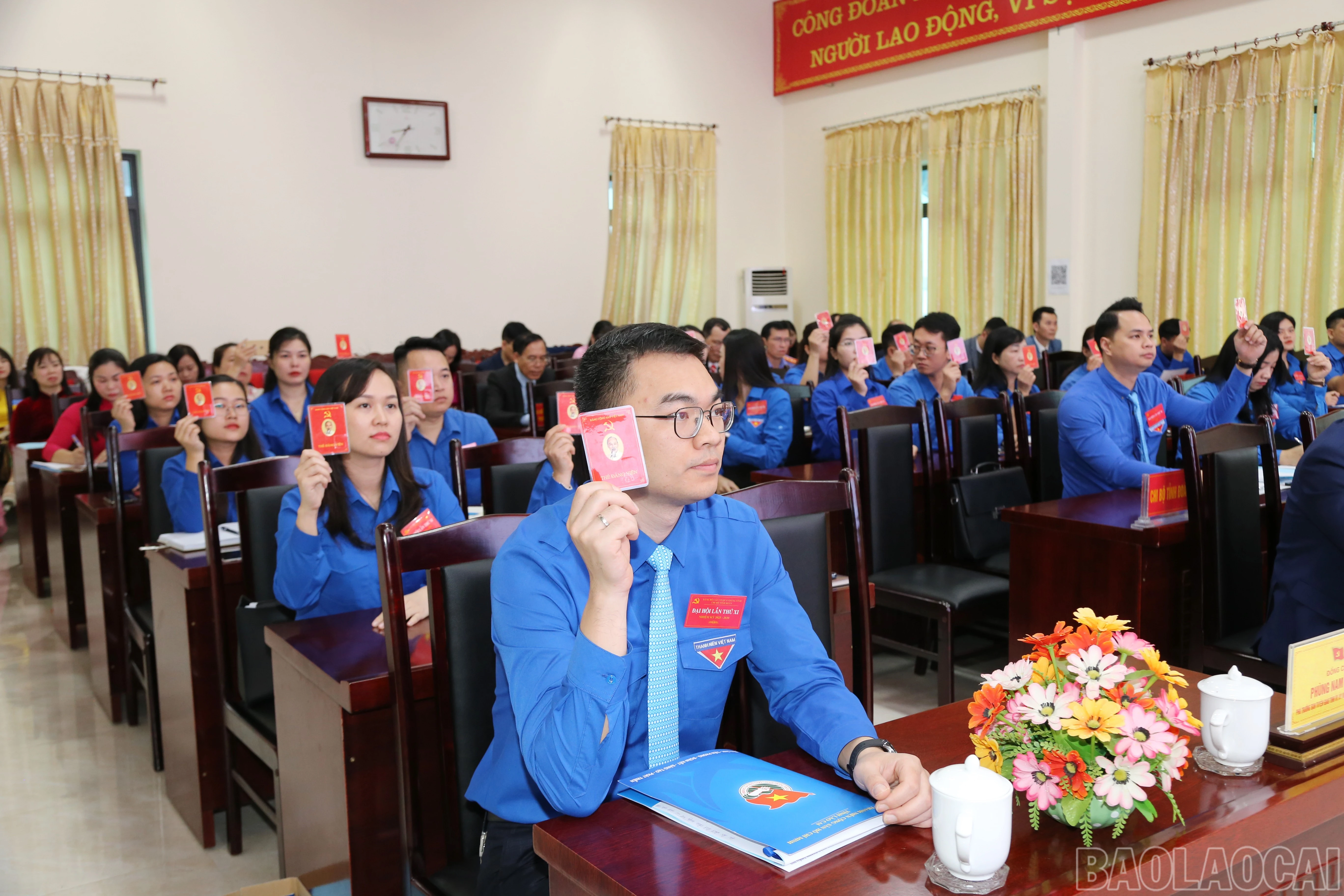 baolaocai-br_img-9490.jpg