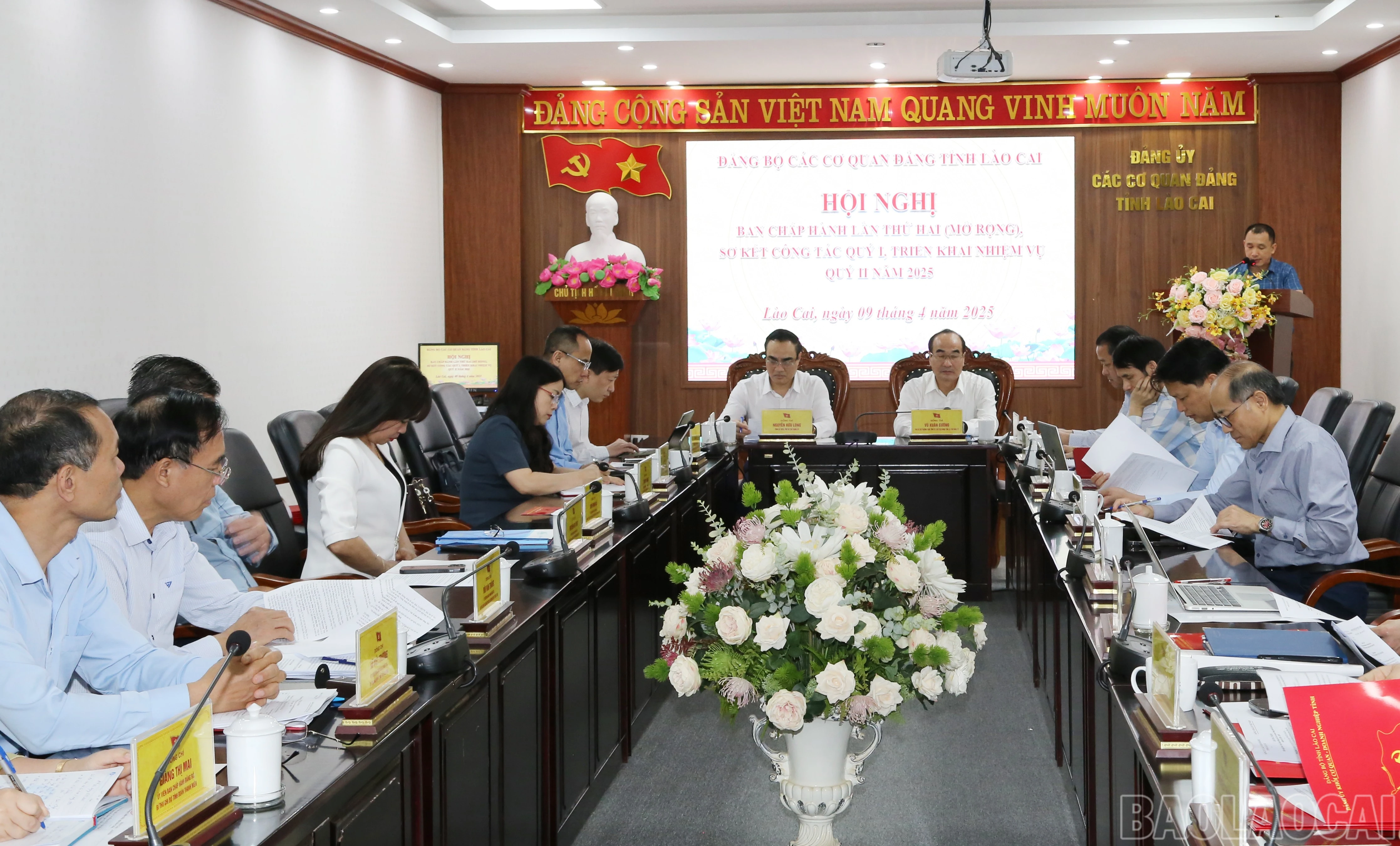 baolaocai-br_img-0587.jpg