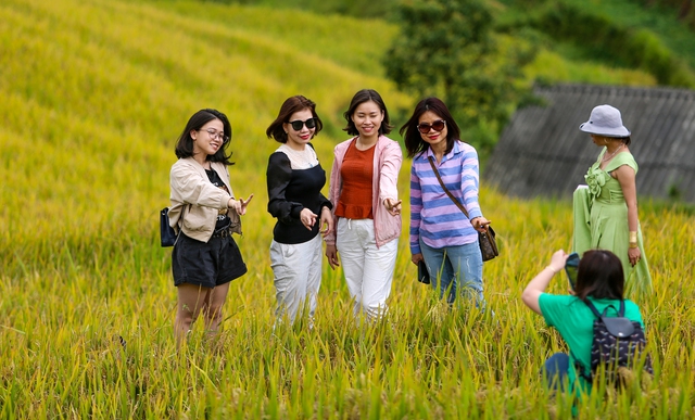 Bức tranh mùa vàng đẹp ngỡ ngàng của đồi mâm xôi ở Yên Bái - Ảnh 13. Bức tranh mùa vàng đẹp ngỡ ngàng của đồi mâm xôi ở Yên Bái - Ảnh 13.