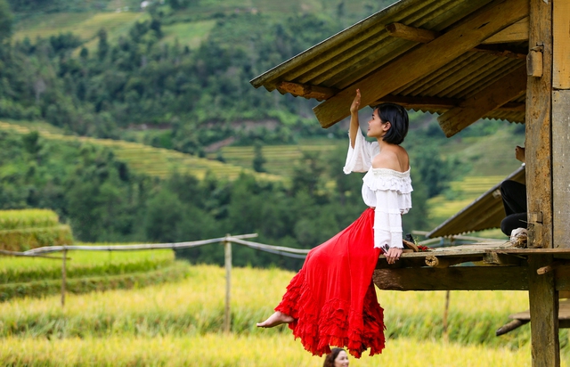 Bức tranh mùa vàng đẹp ngỡ ngàng của đồi mâm xôi ở Yên Bái - Ảnh 15. Bức tranh mùa vàng đẹp ngỡ ngàng của đồi mâm xôi ở Yên Bái - Ảnh 15.