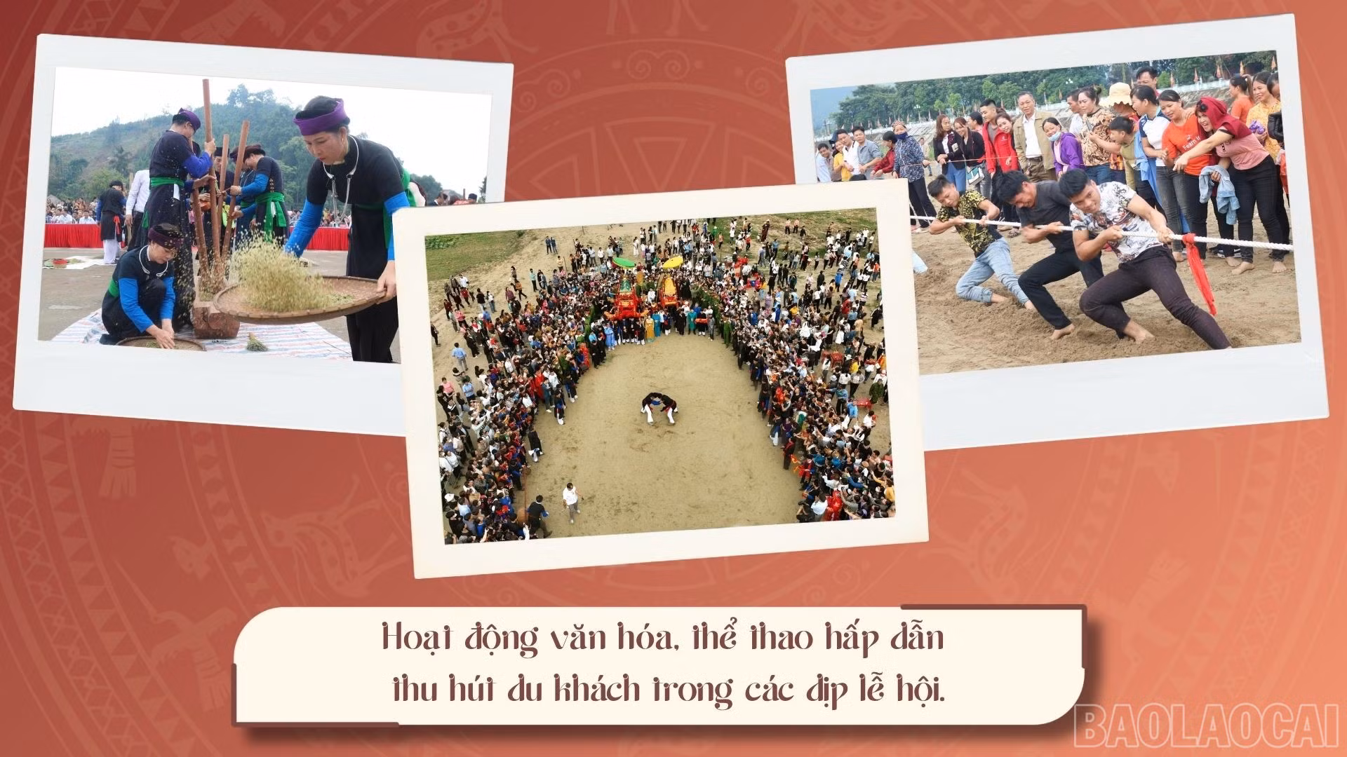 baolaocai-br_3.jpg