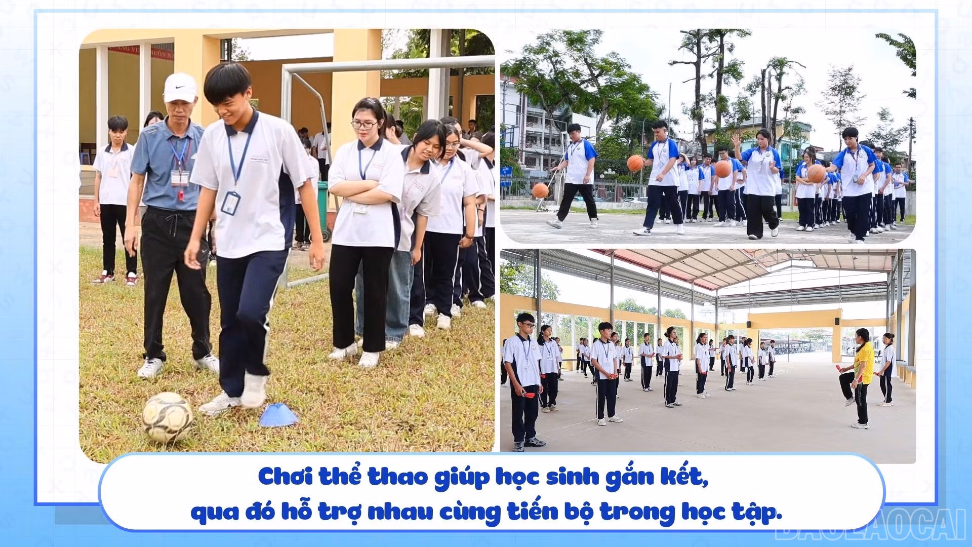 baolaocai-br_3.jpg