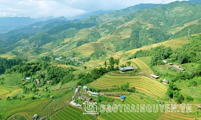 [Ảnh] Xao xuyến mùa vàng trên Mù Cang Chải ảnh 2