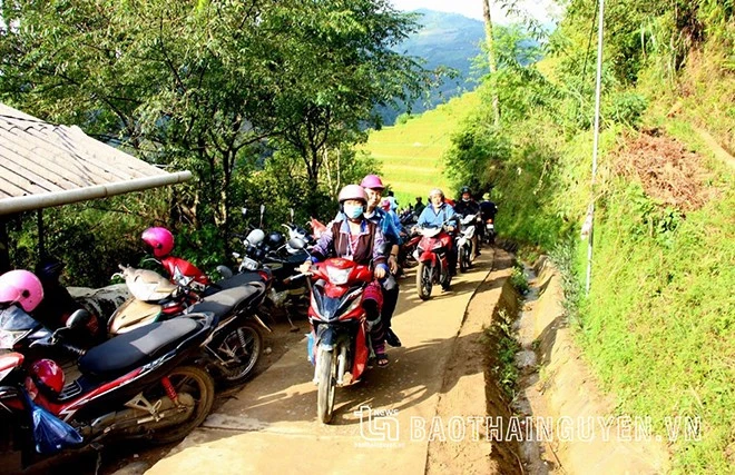 [Ảnh] Xao xuyến mùa vàng trên Mù Cang Chải ảnh 1