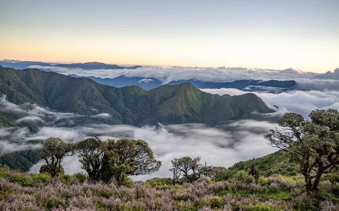 Gặp chính mình trên miền Chi Pâu tím ảnh 1