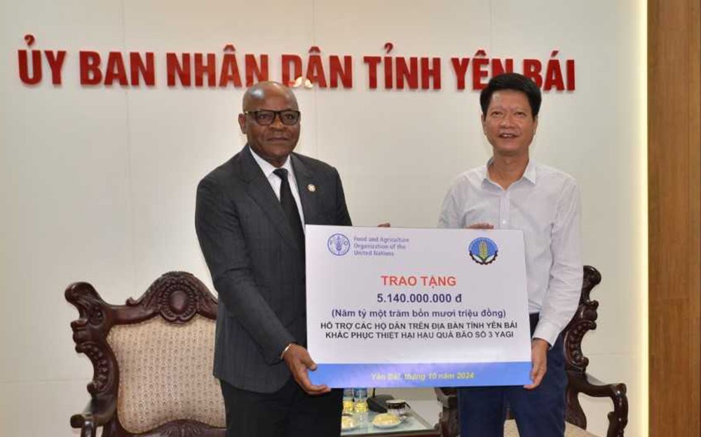 FAO hỗ trợ trực tiếp Yên Bái khắc phục hậu quả bão số 3 ảnh 1 FAO hỗ trợ trực tiếp Yên Bái khắc phục hậu quả bão số 3 ảnh 1