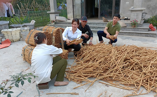 Chỉ thị 05 tạo nguồn lực xây dựng nông thôn mới ở Văn Yên - Bài II: Khẳng định rõ vai trò chủ thể của nhân dân ảnh 1 Chỉ thị 05 tạo nguồn lực xây dựng nông thôn mới ở Văn Yên - Bài II: Khẳng định rõ vai trò chủ thể của nhân dân ảnh 1