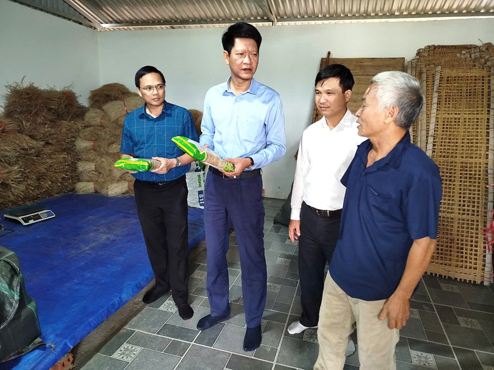 Phó Chủ tịch Thường trực UBND tỉnh Nguyễn Thế Phước kiểm tra làm nhà ở và khôi phục sản xuất nông nghiệp tại Trấn Yên ảnh 3 Phó Chủ tịch Thường trực UBND tỉnh Nguyễn Thế Phước kiểm tra làm nhà ở và khôi phục sản xuất nông nghiệp tại Trấn Yên ảnh 3