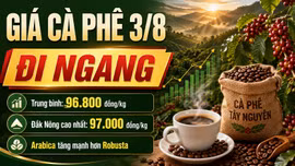 Giá cà phê hôm nay 3/8: Cao nhất 97.000 đồng/kg