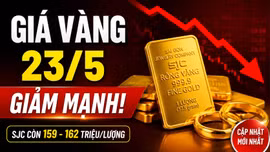 Giá vàng hôm nay 23/5: Cập nhật giá SJC, BTMC, DOJI, PNJ và vàng thế giới
