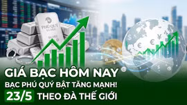 Giá bạc hôm nay 23/5: Bạc Phú Quý bật tăng mạnh theo đà thế giới