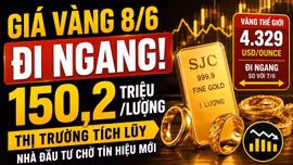 Giá vàng hôm nay 8/6: Cập nhật giá SJC, BTMC, DOJI, PNJ ngày đầu tuần