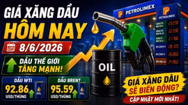 Giá xăng dầu hôm nay 8/6: Dầu thế giới WTI, Brent tăng trở lại