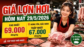 Giá lợn hơi hôm nay 29/5: Hưng Yên, Bắc Ninh dẫn đầu cả nước
