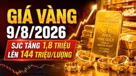 Giá vàng hôm nay 9/8: SJC tăng mạnh, thế giới giữ trên 4.300 USD