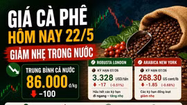 Giá cà phê hôm nay 22/5: Robusta biến động trái chiều, Arabica tiếp tục giảm