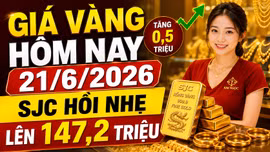 Giá vàng hôm nay 21/6: Thế giới nhích nhẹ, trong nước hồi phục