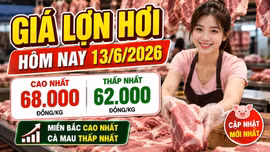 Giá lợn hơi hôm nay 13/6: Cà Mau thấp nhất, Hà Nội vẫn neo cao
