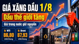 Giá xăng dầu hôm nay 1/8/2026: Dầu thế giới WTI, Brent tăng nhẹ