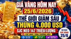 Giá vàng hôm nay 25/6: Cập nhật bảng giá SJC, BTMC, DOJI, PNJ mới nhất