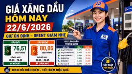 Giá xăng dầu hôm nay 22/6: Dầu WTI, Brent và xăng E10 đầu tuần có giảm?