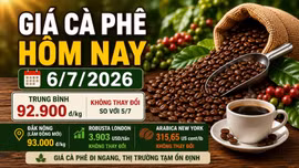 Giá cà phê hôm nay 6/7: Tây Nguyên đi ngang, chờ thay đổi tuần mới