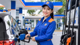 Giá xăng dầu hôm nay 14/8: WTI còn 81 USD, xăng E5 giảm gần 500 đồng