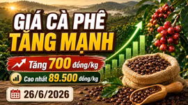 Giá cà phê hôm nay 26/6: Tăng mạnh, tiến sát mốc 90.000 đồng/kg