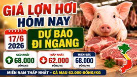 Giá lợn hơi hôm nay 17/6: Nhiều địa phương duy trì mặt bằng ổn định
